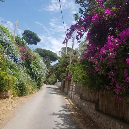 Villa Amazing Seafront On Circeo Mountain *